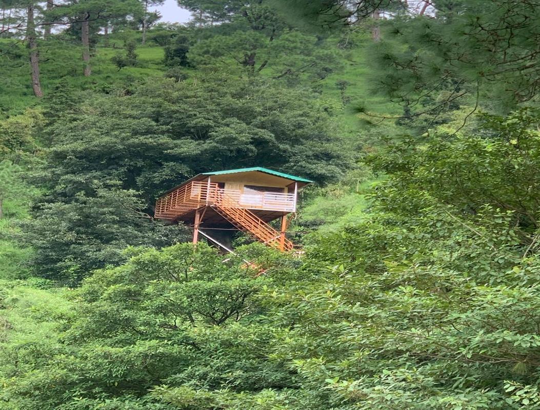 The Cocoon Camps & Nature Resorts Nainital Esterno foto